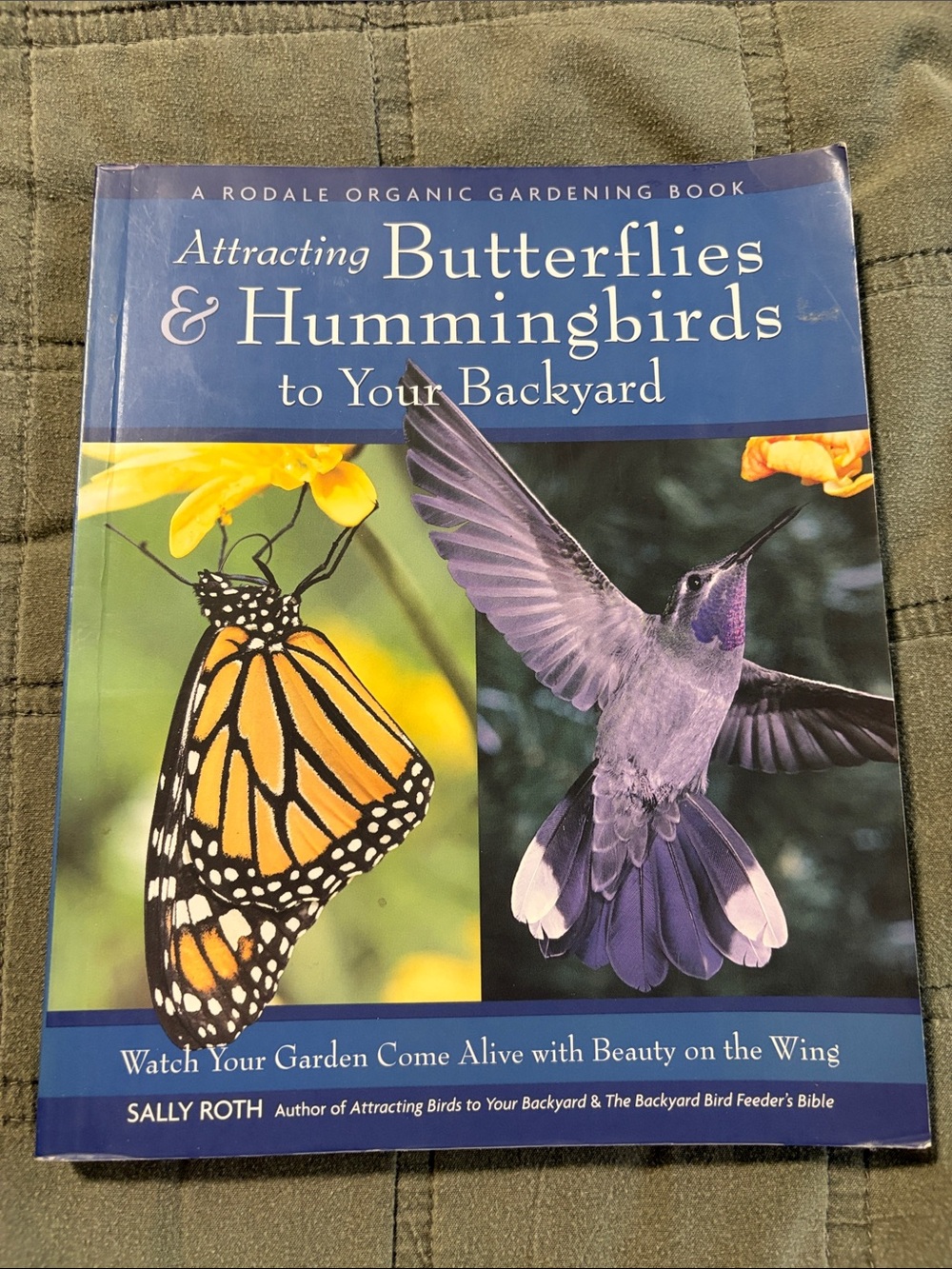 Attracting Butterflies & Hummingbirds to Your Backyard – Blue